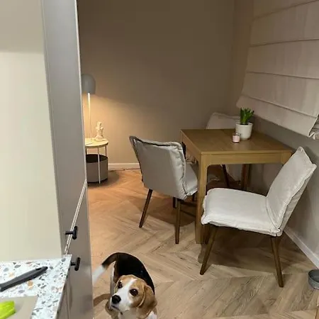 Dolne Zacisze Apartment Gdansk